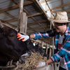 Japanese vs. American Wagyu Beef: What’s the Difference?